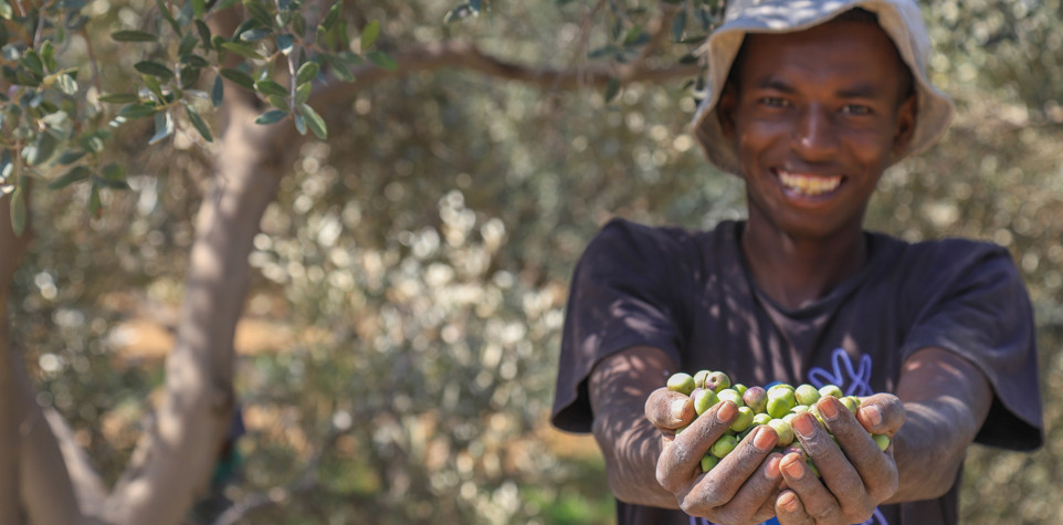 Sustainable Livelihood Waqf